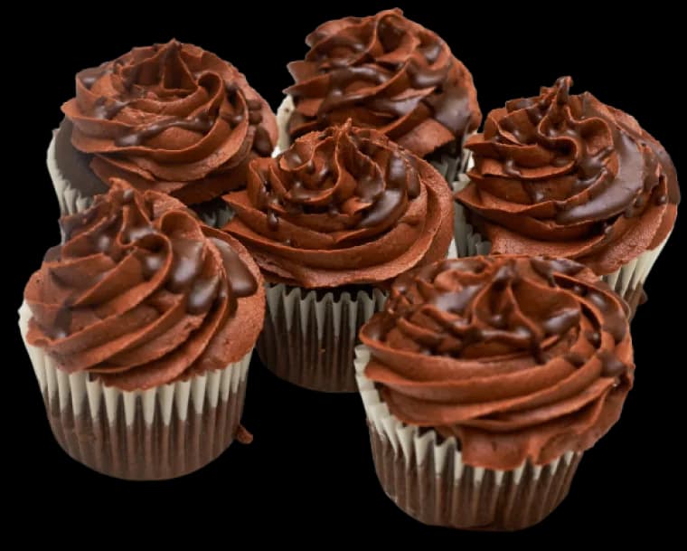 Chocolate Cupcakes